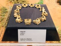 -北京周口店北京人遗址博物馆