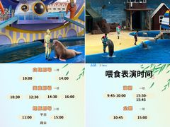 -海合安天津极地海洋公园