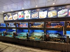 水产区-徐记海鲜(陕西历史博物馆|明德门店)