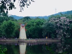 -大屏嶂森林公园