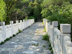 -白水寺森林公园
