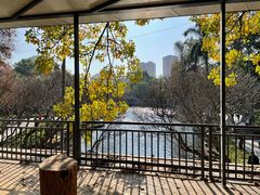 -晓港公园