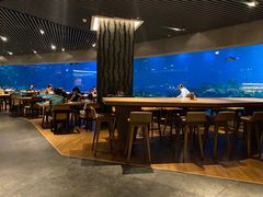 大堂-海棠湾洲际-涛·海底餐厅·美人鱼·自助餐·海底隧道