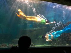 -嘉兴海底世界
