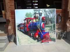 DSC08325-永定河休闲森林公园