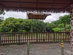 -深圳野生动物园