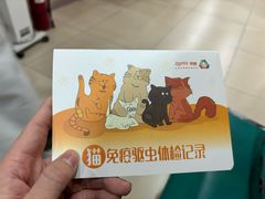 -米苏动物医院·犬猫专科·骨科外科内窥镜