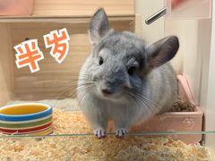 -龙猫仔乐园(惠福东路店)