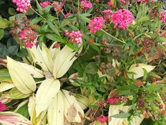景点-坂田手造文化街