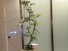 -深圳楚天大酒店(福田口岸深圳会展中心店)