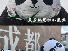 -成都大熊猫繁育研究基地