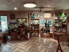 -Rabbit Cafe私房西餐甜点咖啡(栖霞路店)