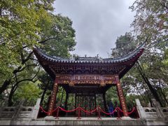 -汇龙潭