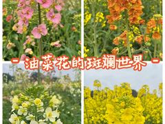 -中国天府农业博览园