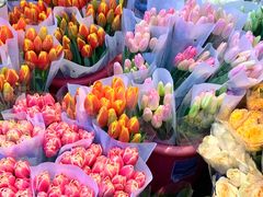 -循礼门鲜花花市(武汉循礼门店)