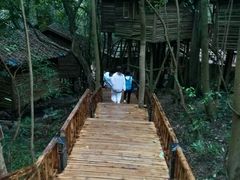-天门沟九州驿站树上汤泉