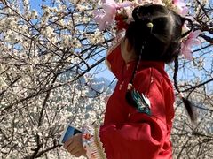 -广州市流溪河国家森林公园