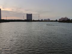 -金银湖国家城市湿地公园