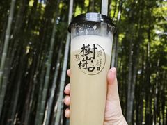 -树山生态村