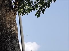 -深圳湾公园(南山区)