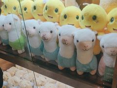 -金色印象·4K影院式足体养生(南方花园店)