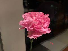 -景湖轩全日制餐厅·南湖名都