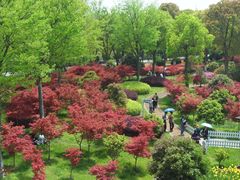 景点-上海鲜花港