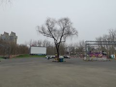 -枫花园汽车电影院(朝阳公园店)