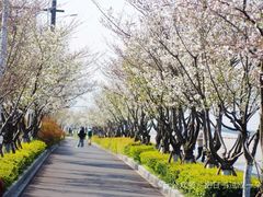 -钱塘江