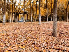 -济南国际园博园