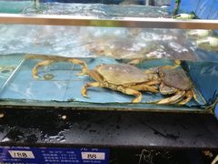 -聚彩居三和酒楼•老字号粤菜(南城店)