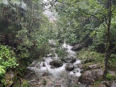 -大围山国家森林公园