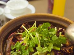 -胡须佬鸡煲四季火锅店(石厦西村直营店)