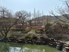 -冶父山国家森林公园