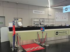 -谢列梅捷沃国际机场