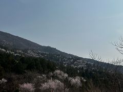 -北京十三陵国家森林公园蟒山景区