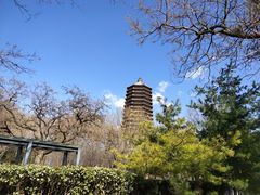 -玲珑塔公园