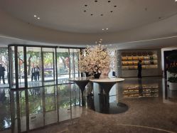 -广州美莱医疗美容医院