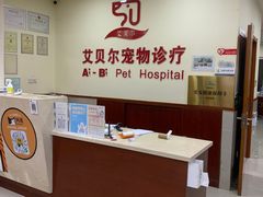 -艾贝尔宠物诊疗