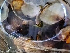 -华府九号海鲜烧烤大排档(龙域店)