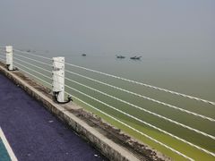 -贡湖湾湿地公园