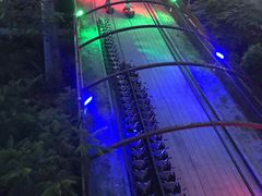 -圣淘沙天际线斜坡滑车