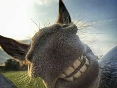 -云海肴·汽锅鸡·云南代表菜(天津国金汇店)