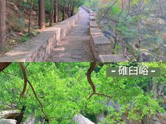 -沉浸北京·团建旅行·密室剧本杀·年会会议轰趴拓展
