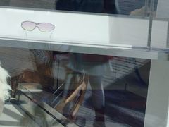 -三里屯东五街银杏大道