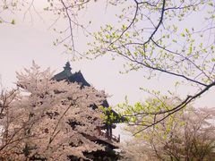 -西安青龙寺遗址景区