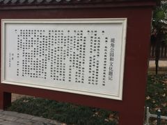 -堤角公园