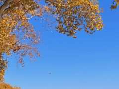 -北山街历史文化街区