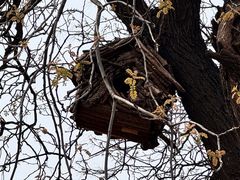 -北京西山国家森林公园