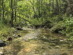 -玉渡山自然风景区